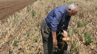 Agricultura abona 104,1 millones correspondientes a la Solicitud Única de la PAC 2024