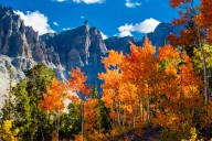 Everyone Talks About Yosemite—But Great Basin May Be The Underrated Gem