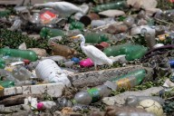 Waste-to-energy project could boost Brazil’s decarbonization goals