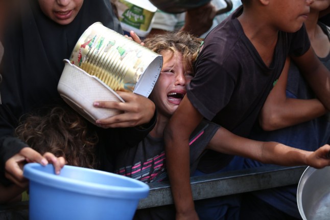 Palestinians searching for food killed by Israeli strikes after famine in Gaza declared