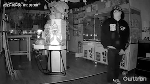 Thousands of dollars' worth of Labubu dolls stolen from La Puente resale shop