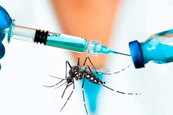 ALERTA DENGUE! El Gobierno de Corrientes dice que dispone de 25.000 vacunas