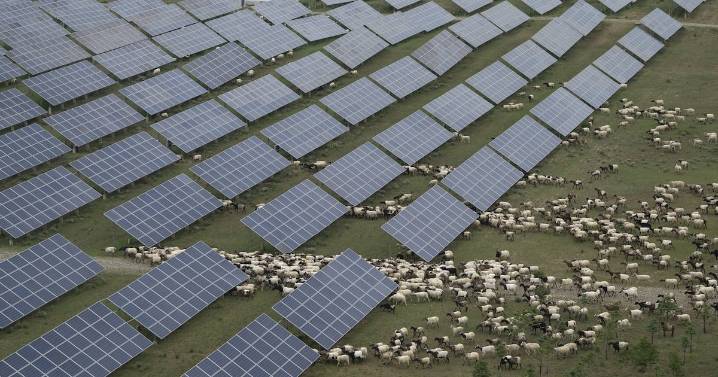 China rushes to build out solar, and emissions edge downward
