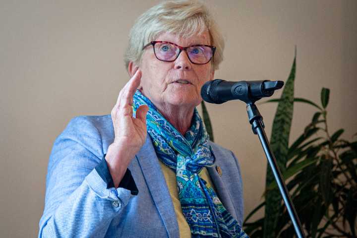 Chellie Pingree calls for recognition of Palestinian statehood