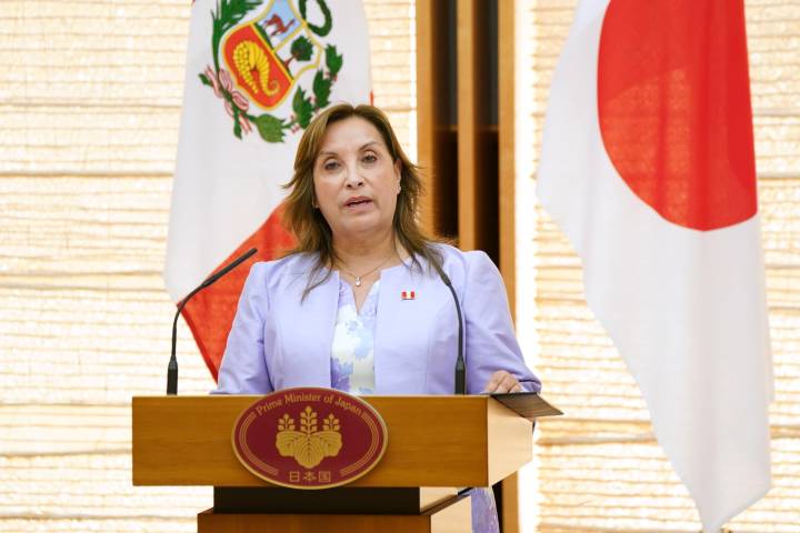 Naruhito y Boluarte refrendan la larga tradición cultural que une a Japón y Perú