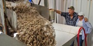 FDA Issues a Warning Regarding Certain Shrimp Due to Possible Radioactive Contamination