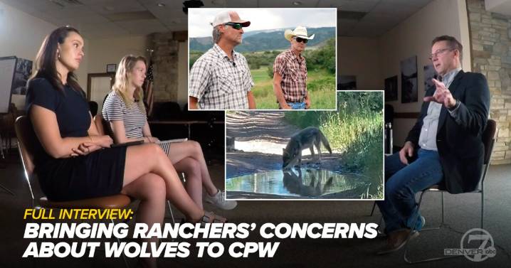 'We've got to focus on the common ground': Denver7 brings ranchers' questions about wolves to CPW director
