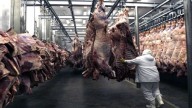 La demanda china impulsó el crecimiento de las exportaciones de carne vacuna