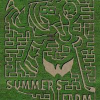 Summers Farm in Middletown honors NHL legend Alex Ovechkin with this year’s corn maze