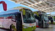 Anuncian próxima ruta de ADO a Xul-Ha para mejorar conectividad turística