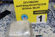 Un control con perros secuestró cocaína en un colectivo de larga distancia