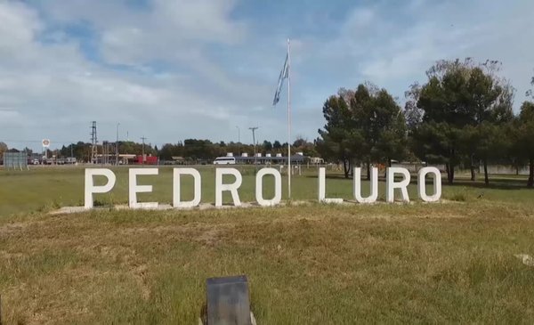 Secuestraron carne de jabalí y una escopeta en un operativo por caza furtiva en Villarino