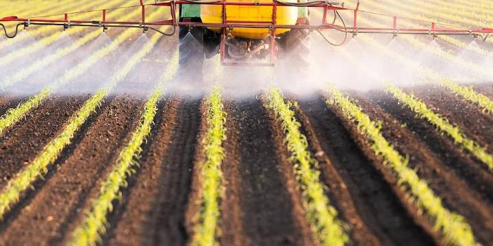 Un pesticida relacionado con deterioro del desarrollo cerebral entre los niños