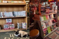 10 of the best independent bookstores in and around Edmonton