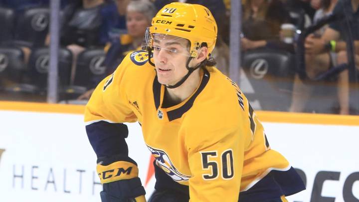 Top prospects for Nashville Predators