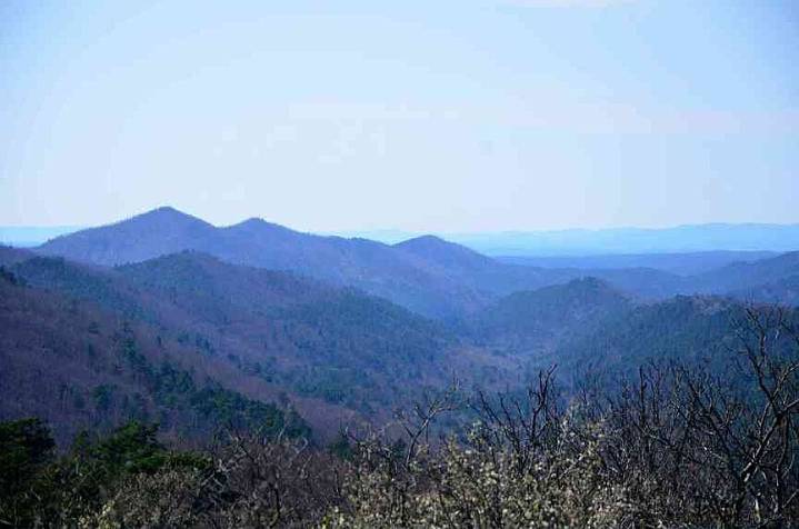 ARKANSAS WILDERNESS AREAS: With its extreme biodiversity, Caney Creek Wilderness Area is the state’s first federally designated wilderness area