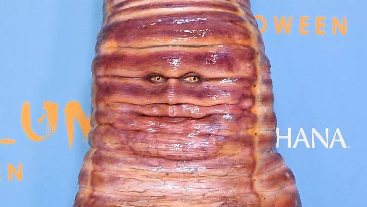 Heidi Klum Announces Plans to Deworm and De