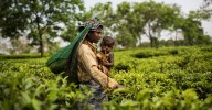 The health risks from climate change that almost no one talks about