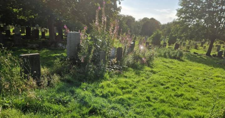 Glasgow woman 'livid' after east end cemetery left 'overgrown with weeds'