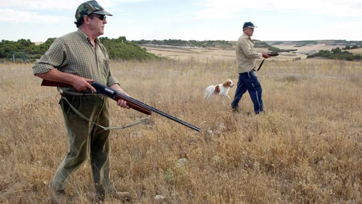 SEO BirdLife alerta: la caza en media veda afecta a especies en declive