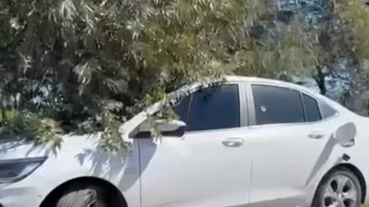 Hallan muertos a un hombre y una mujer dentro de un auto tiroteado