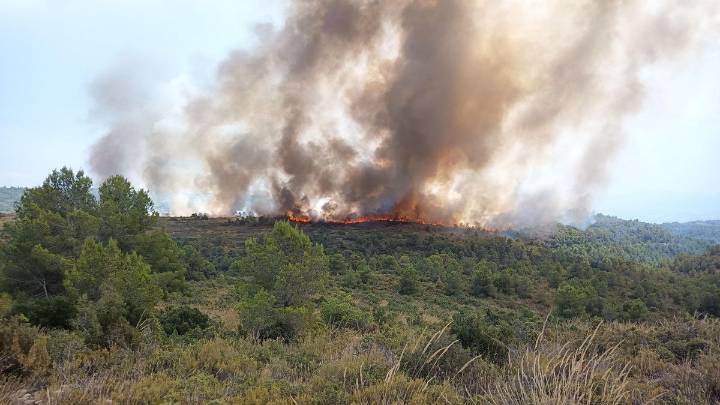 Un incendio forestal en el interior de Valencia obliga a movilizar diez medios aéreos