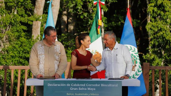 Mexico, Guatemala and Belize to create tri-national nature reserve to protect Mayan jungle