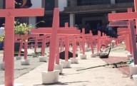ASESINAN a 9 mujeres diariamente en México de enero a julio del 2025