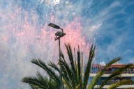 La pirotecnia reclama a los ayuntamientos que no suspendan espectáculos sin base legal pese al riesgo de incendios
