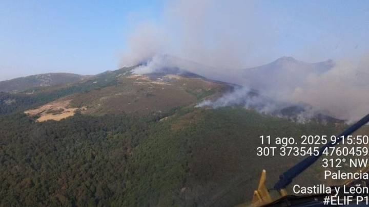 Las brigadas helitransportadas de Ejea y Teruel acuden a los incendios de Palencia y Valencia