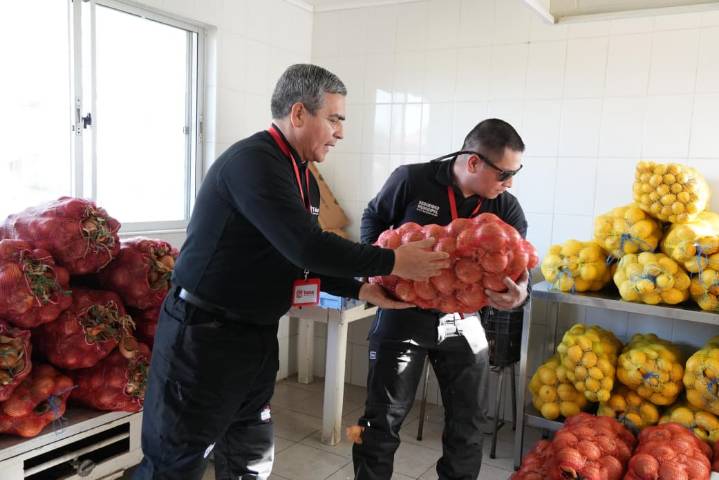 Operativo municipal en Talca convirtió decomisos de comercio ilegal en ayuda solidaria para hogares y fundaciones