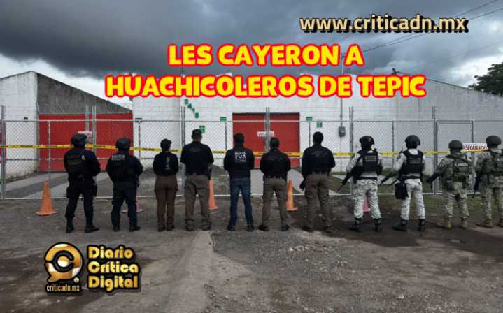 Federales vuelven a asegurar «huachicol» en Nayarit