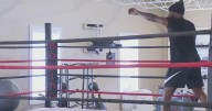 Le'Veon Bell training at Pittsburgh-area boxing gym while eyeing up fight against Adam "Pacman" Jones