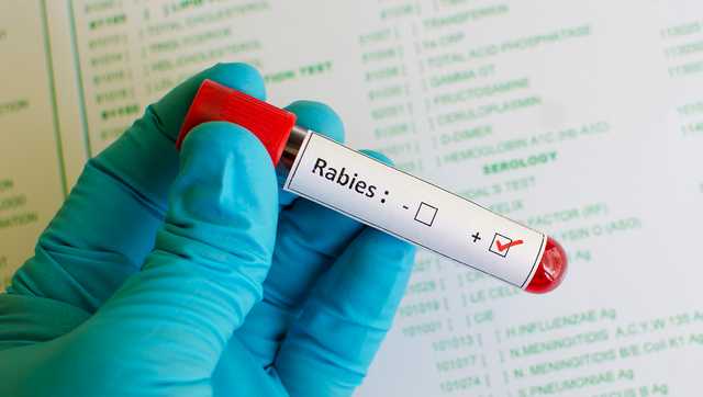 Rabid animals confirmed in 5 South Carolina counties