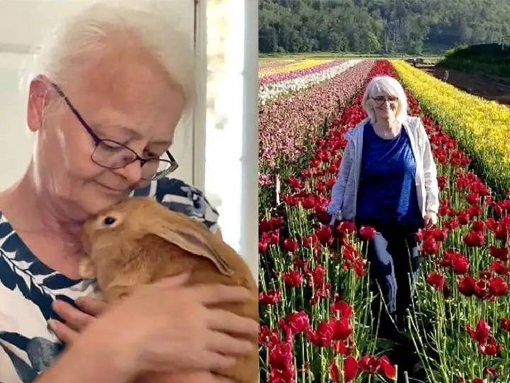 Charges dropped in crash that killed sisters guiding turtle from road