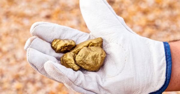 Una fortuna: el electrodoméstico que está en tu casa y tiene oro de 22 quilates