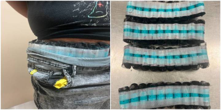 Joven cubano detenido en el aeropuerto de Miami tras intentar contrabandear 40 aves vivas alrededor de su cuerpo