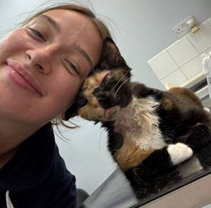 Cat miraculously survives 50-foot fall from building