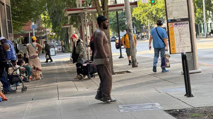 Rantz: Democrats’ $2 billion homelessness ‘solution’ made the problem bigger