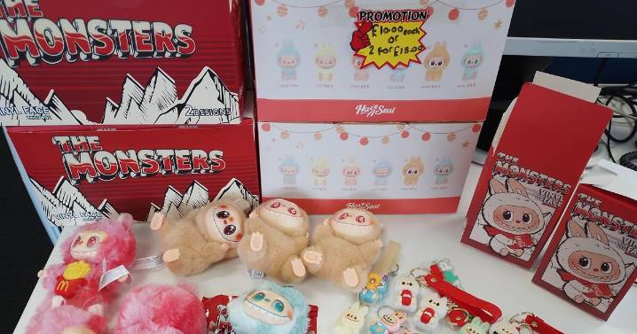 Dodgy Labubu dolls with loose stitching and detachable heads seized in Bulwell raid