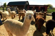 Travel: Plan a getaway in Colorado wine country