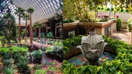 El ‘jardín más lindo del mundo’ se encuentra en Pensilvania, Estados Unidos: por esta razón debería conocerlo