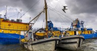 New data sheds light on Louisiana's controversial pogy boats. Will it resolve the debate?
