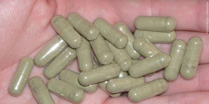 City of Northampton to hold vote on banning sale of Kratom