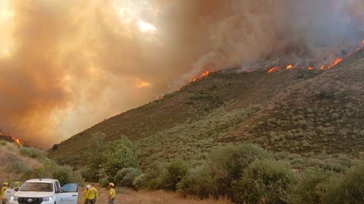 Ola de incendios en Castilla y León: 348 fuegos en 23 días