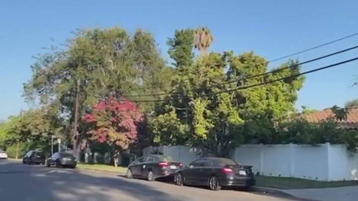 San Fernando Valley man terrorizes neighbors with bizarre behavior