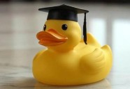 Coahuila: Llaman a evitar fraudes con universidades ‘patito’