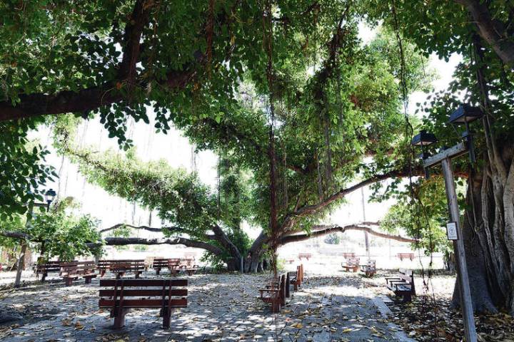 Front Street wildfire recovery moving slower than other parts of Lahaina