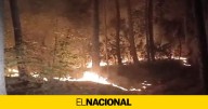 Estabilizado el incendio forestal de tres focos entre Amer y Susqueda
