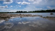 Iowa DNR beach monitoring reports 17 lakes unsafe for swimming